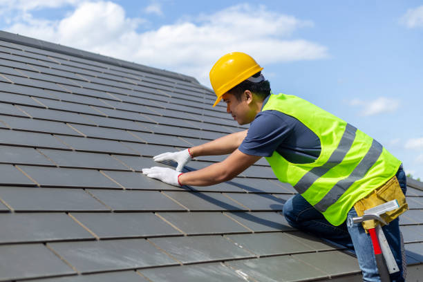 Best Roof Ventilation Installation  in Ele, AR