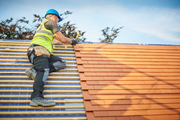 Best Gutter Installation and Repair  in Ele, AR